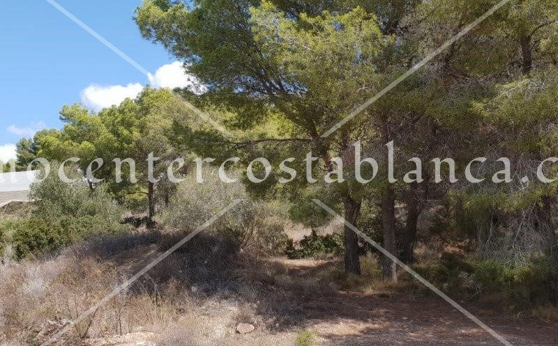 REF: P045 Grondstuk in Callosa d'En Sarría
