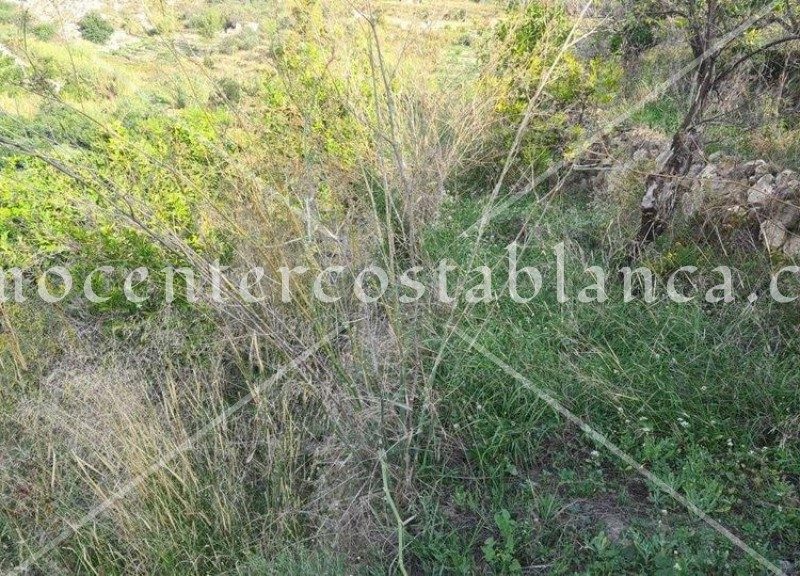 REF: P044C Grondstuk in Callosa d'En Sarria