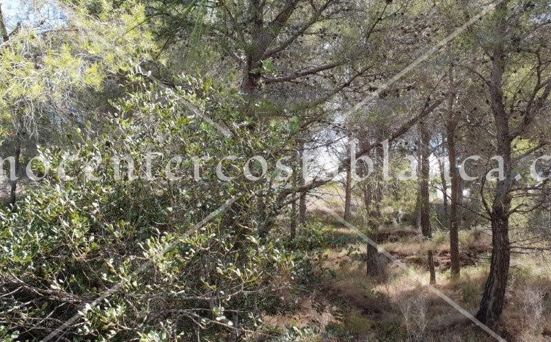 REF: P045C Grondstuk in Callosa d'En Sarría