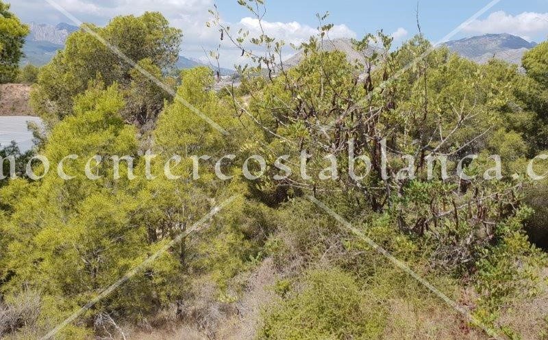 REF: P045 Grondstuk in Callosa d'En Sarría