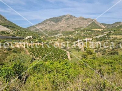 REF: P044 Grondstuk in Callosa d'En Sarria