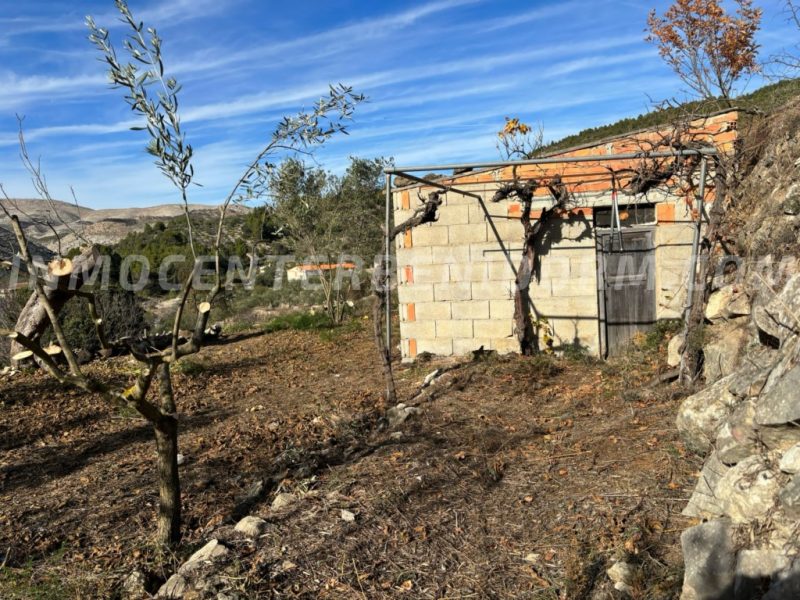 REF: 095 Parceel met huisje in Castells de Castells