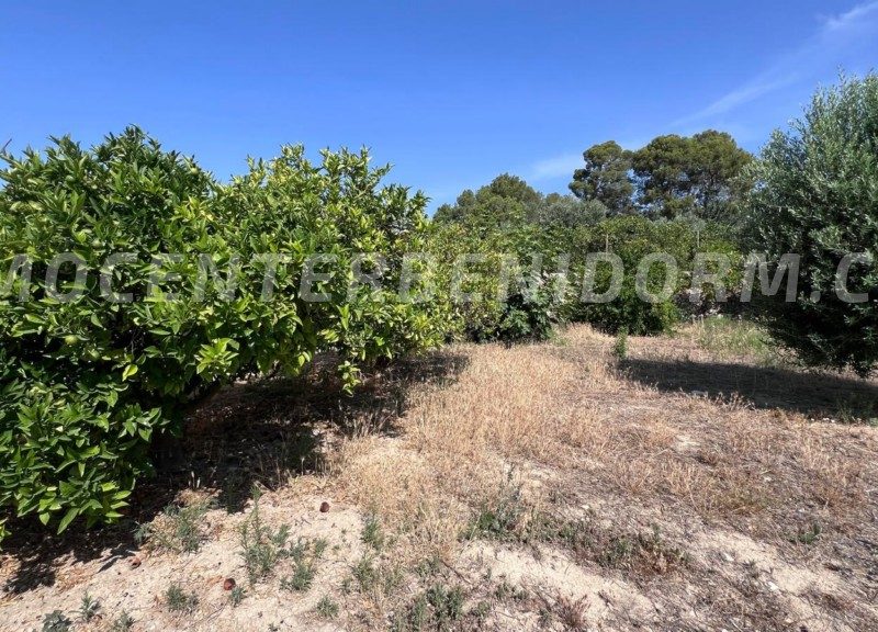 REF: V143 Detached Country House in Benidorm